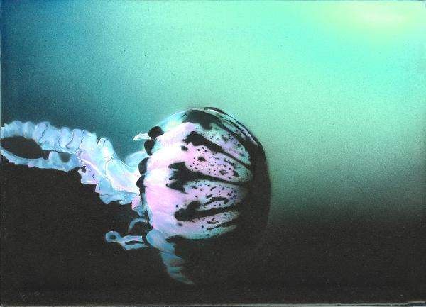 http://www.artistic-realms.com/charles/images/aquatic/jellyfish.jpg